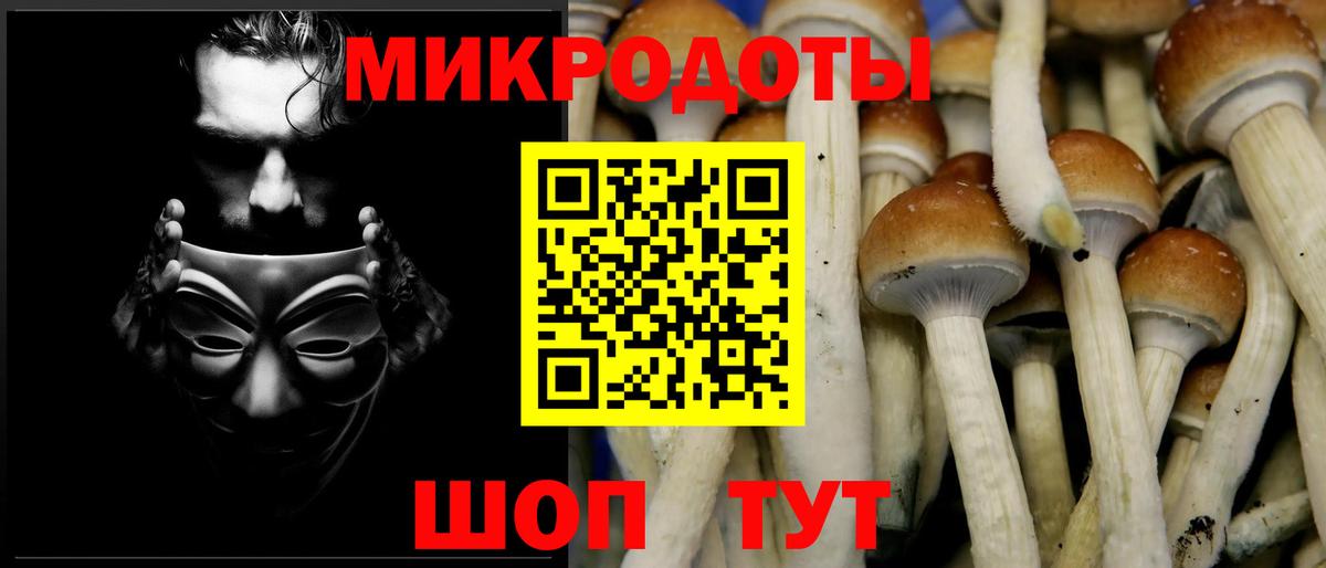 Кстово  где продают наркотики  Галлюциногенные грибы Cubensis  Вход с VPN  Галлюциногенные грибы MAGIC MUSHROOMS 